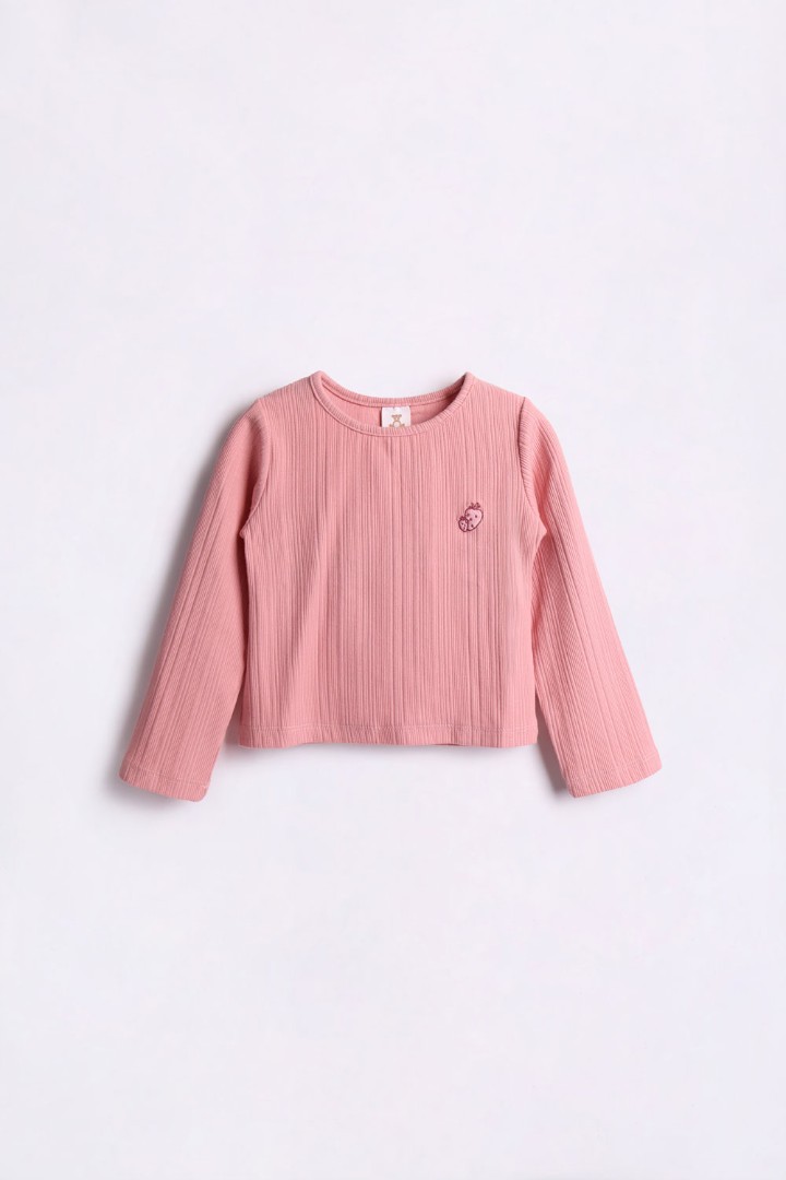 Long Sleeve Embroidered T-Shirt