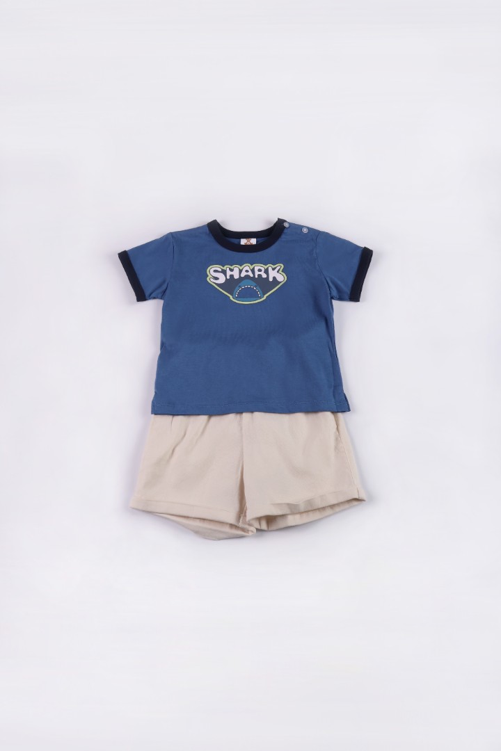 Graphic T-Shirt with Short Suit Set