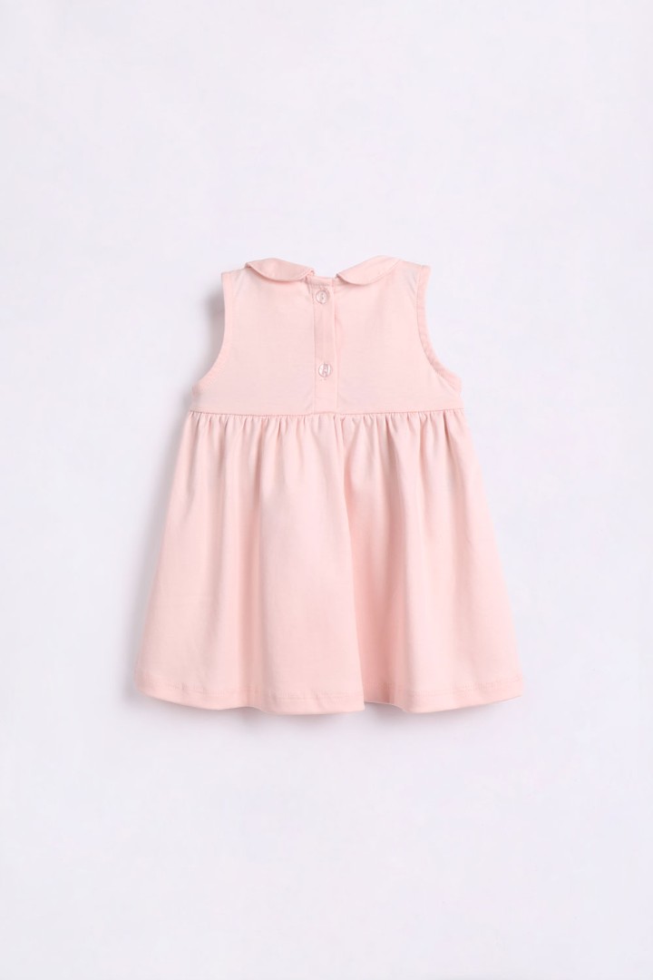 Embroidered Dress