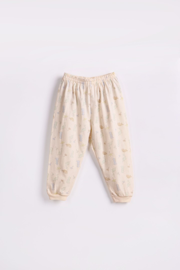 Dino Series Pyjamas for Boys