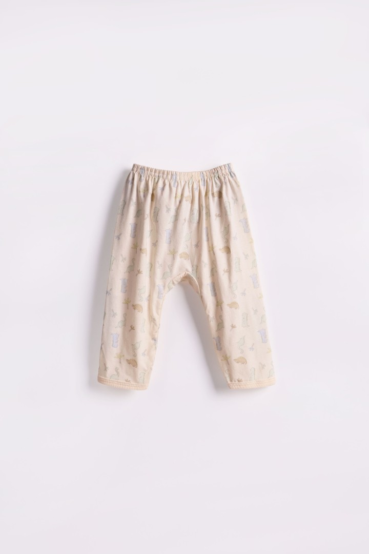 Dino Series Pyjamas for Boys