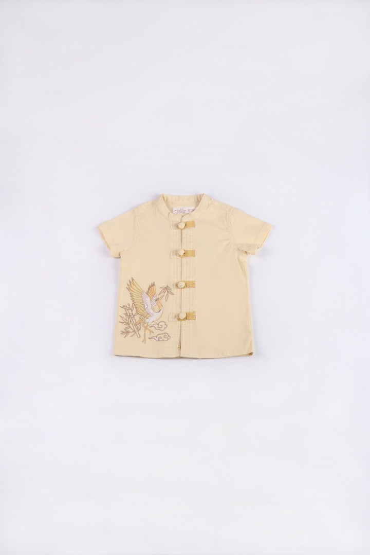 Embroidered Samfu Shirt