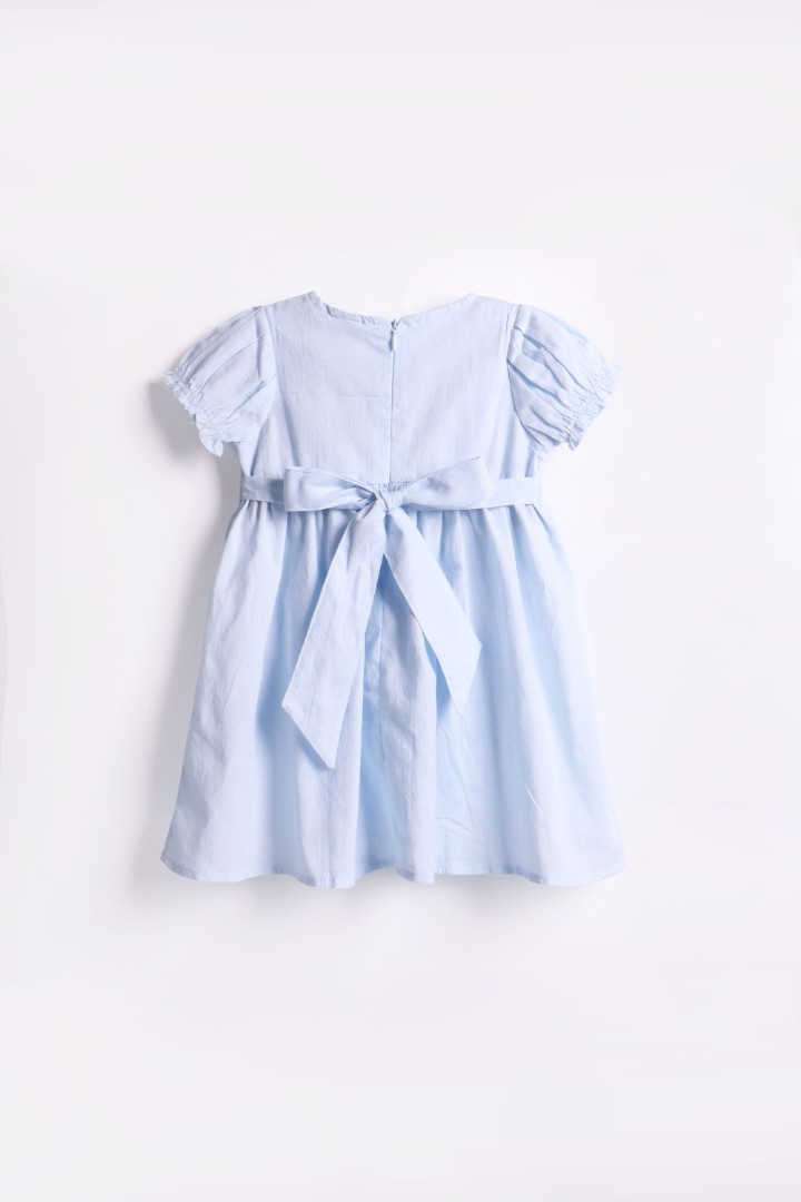 Embroidered Dress