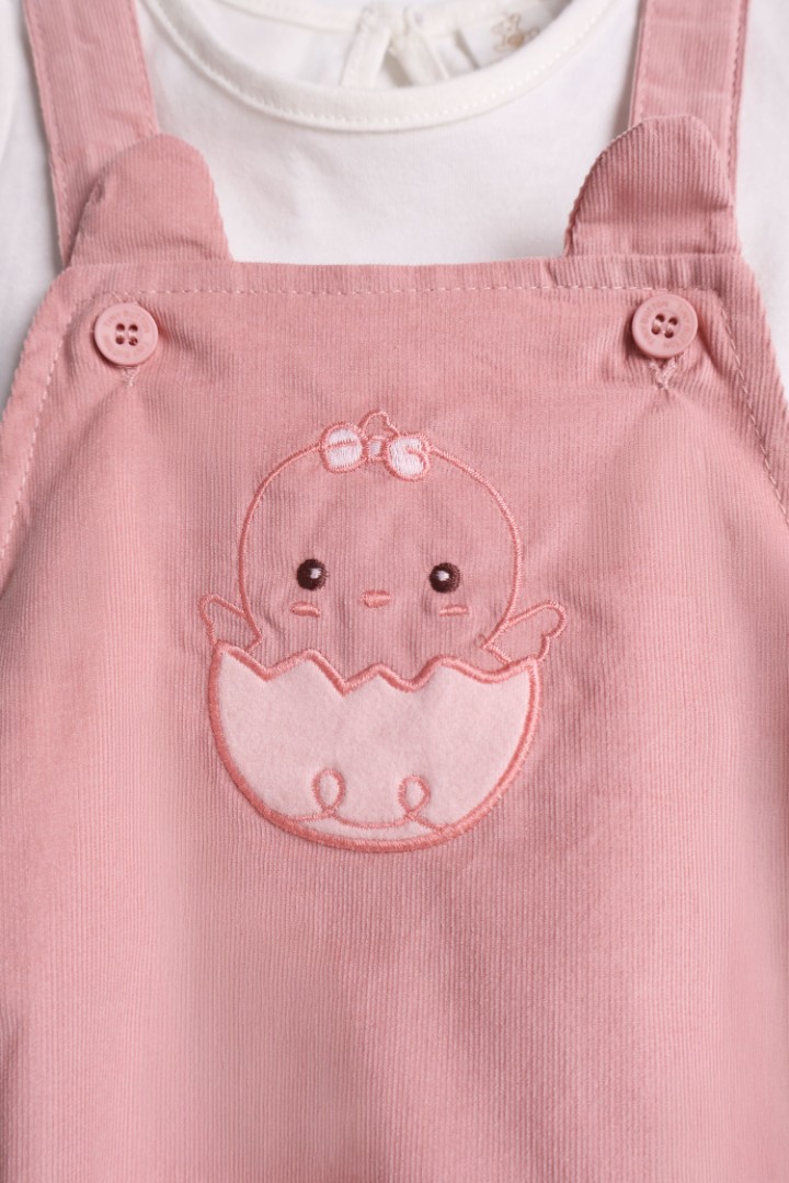 Dungaree with Embroidery
