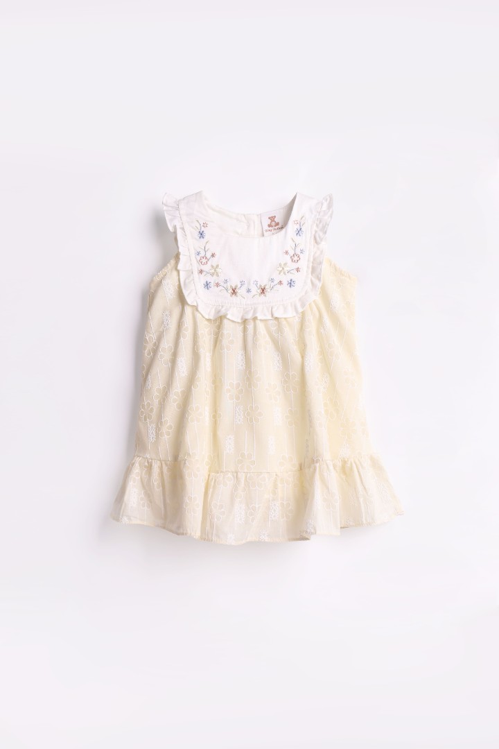 Embroidered Dress
