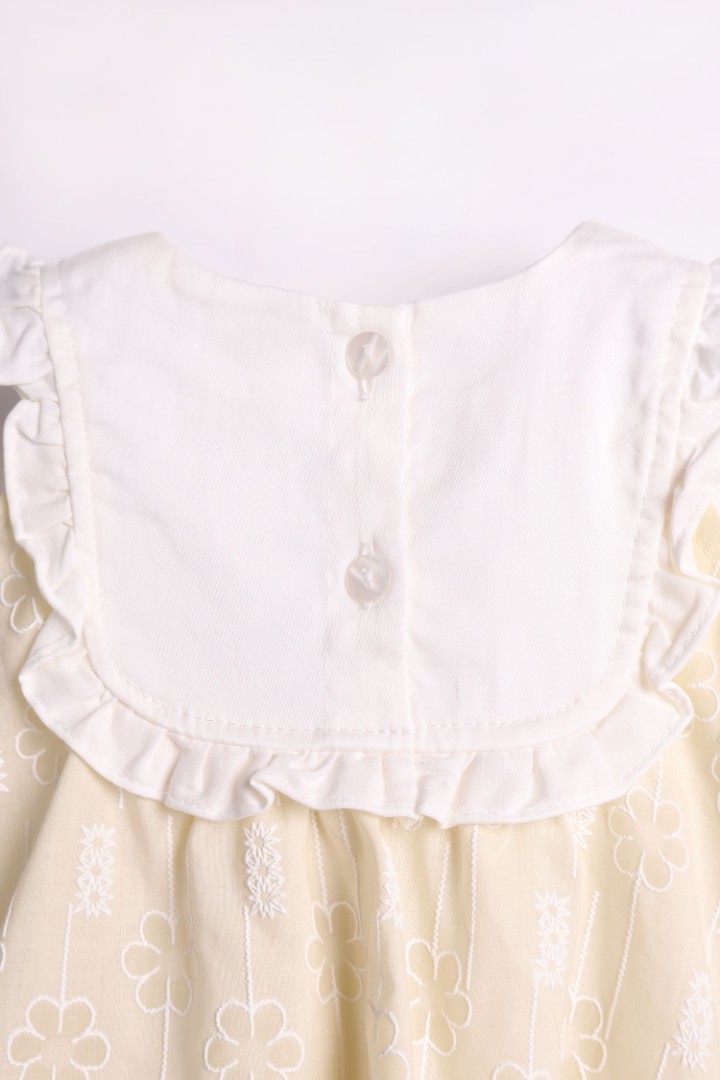 Embroidered Dress