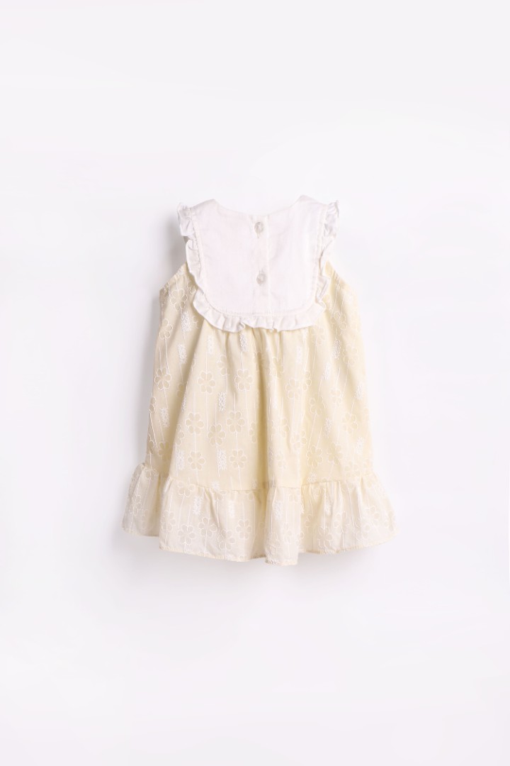Embroidered Dress