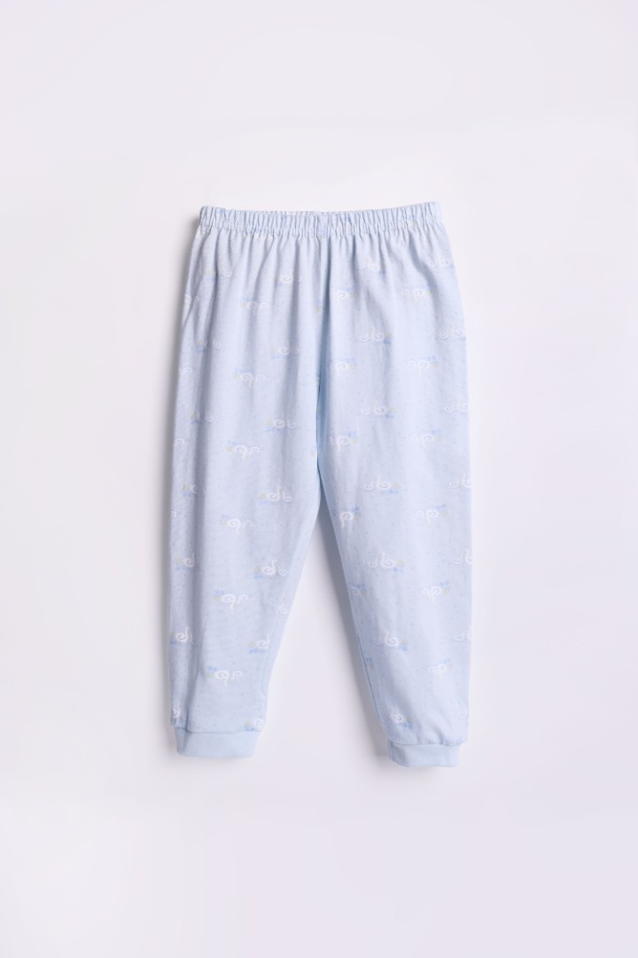 Lovely Swan Series Pyjamas for Girls