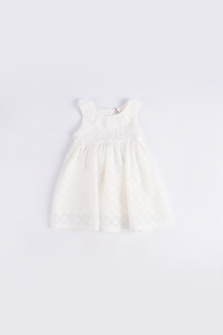 Embroidered Dress