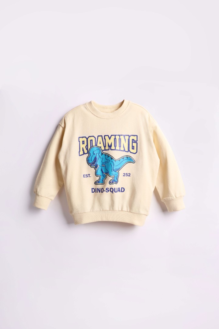 Graphic Sweater