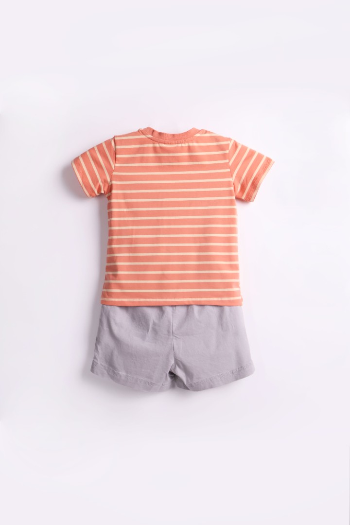 Striped T-Shirt with Short Suit Set