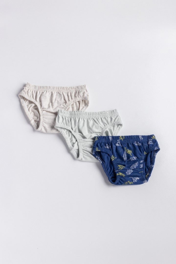 Boy's Brief (3-Pack)