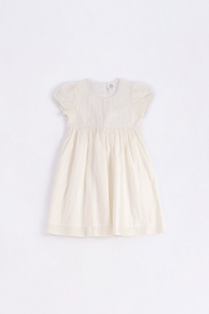 Embroidered Dress