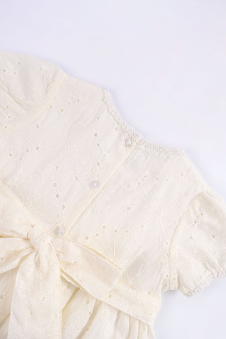 Embroidered Dress