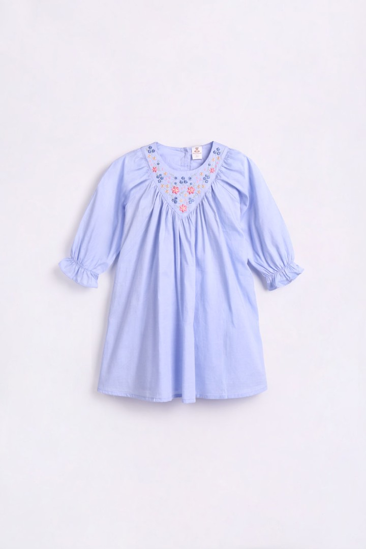 Embroidered Dress