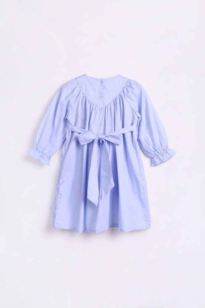 Embroidered Dress