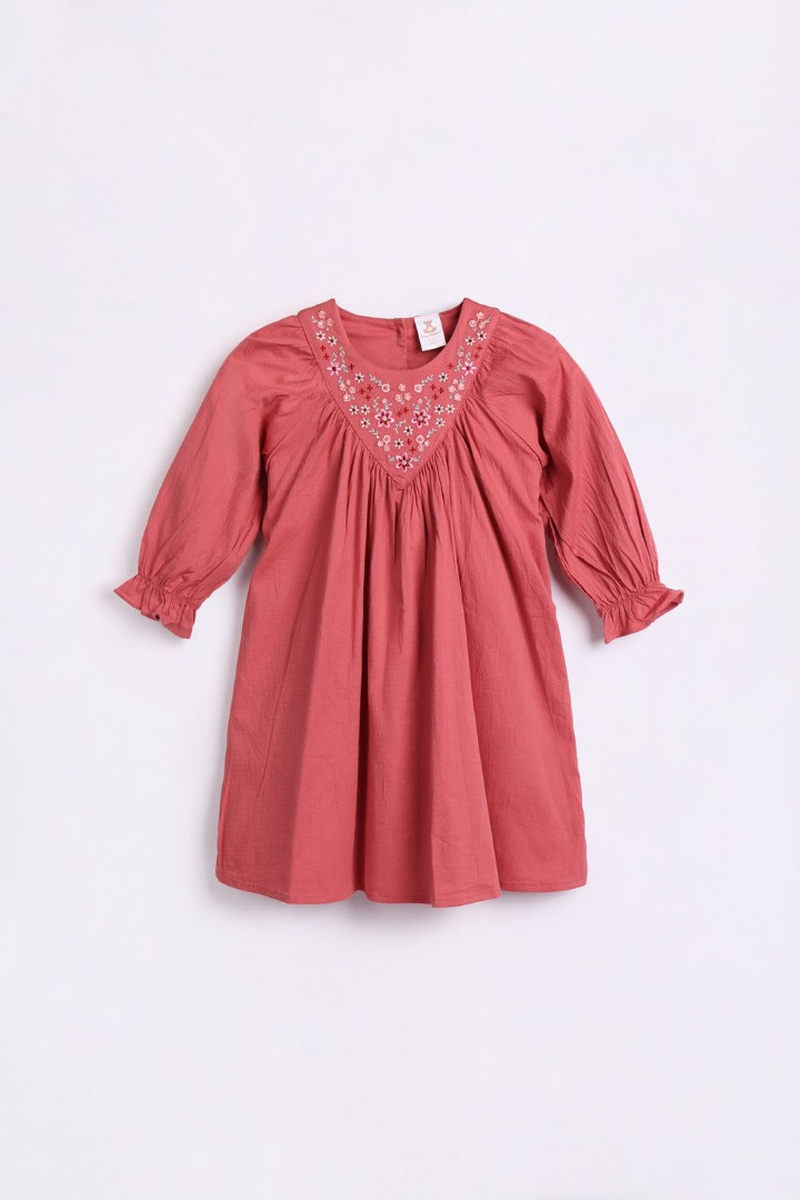 Embroidered Dress