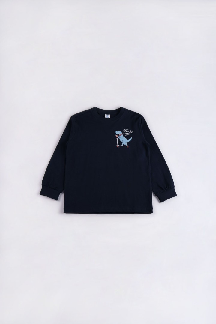 Dinosaur Series Pyjamas for Boys