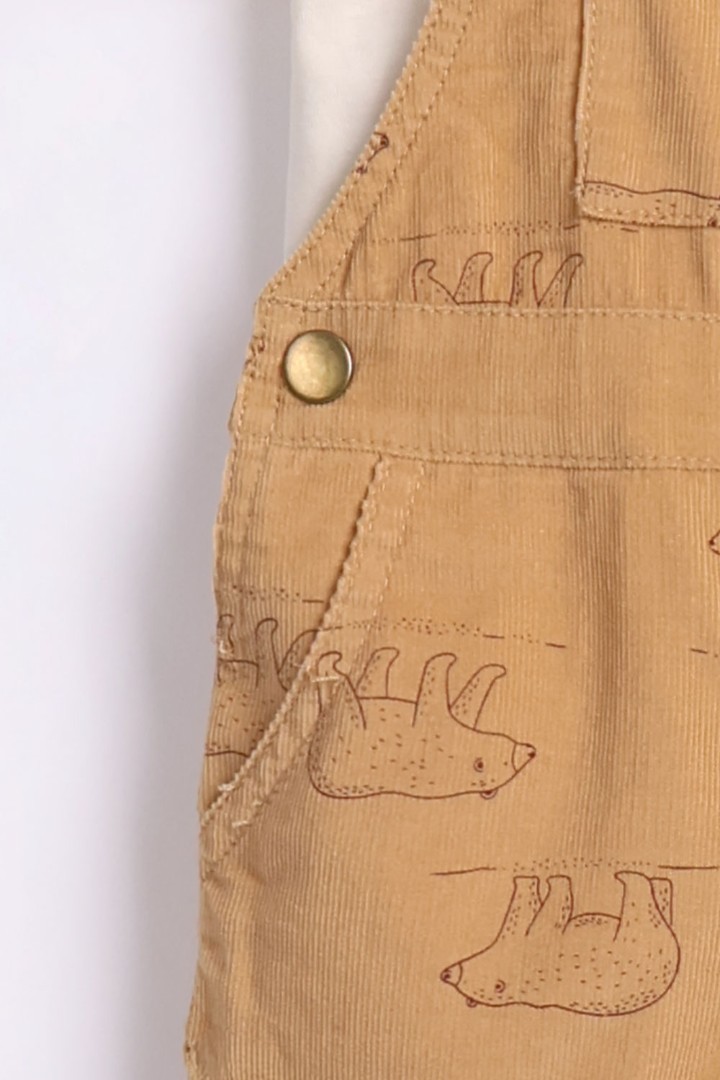 Dungaree with T-Shirt