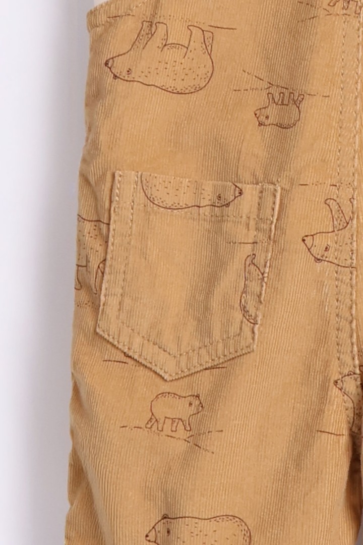 Dungaree with T-Shirt