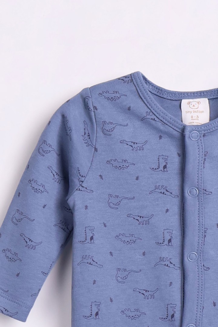 Dino Series Pyjamas for Boys
