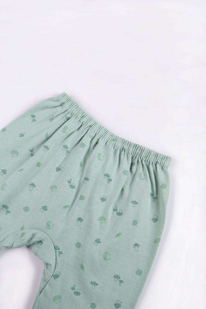 Hedgehog  Series Pyjamas for Boys