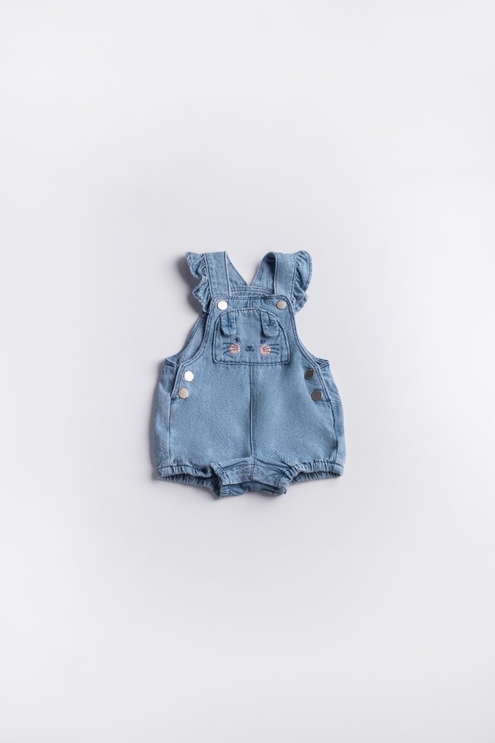 Dungaree with Embroidery