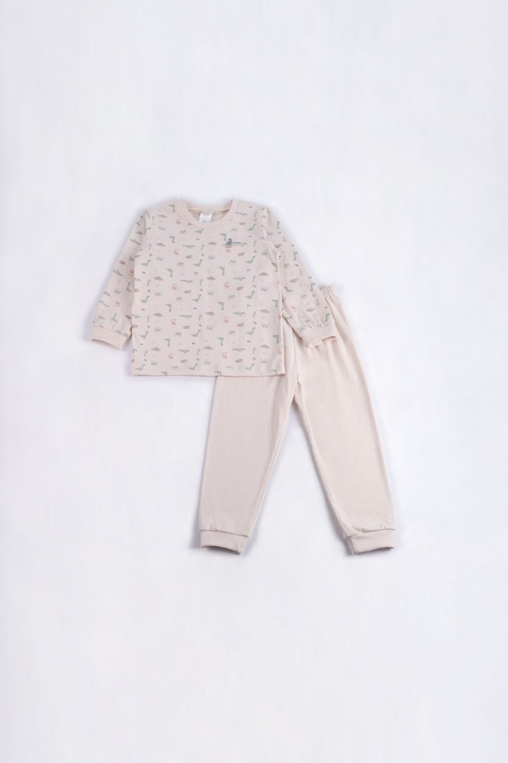 Dinosaur Series Pyjamas for Boys