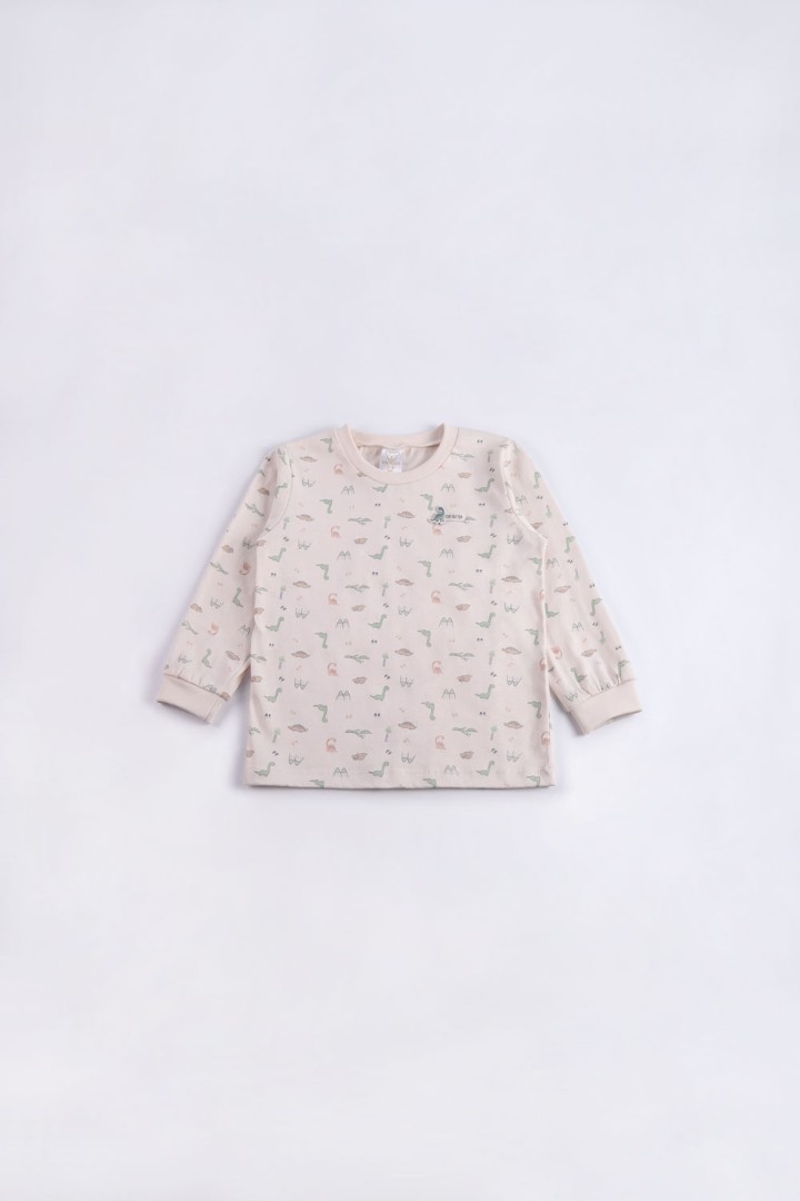 Dinosaur Series Pyjamas for Boys