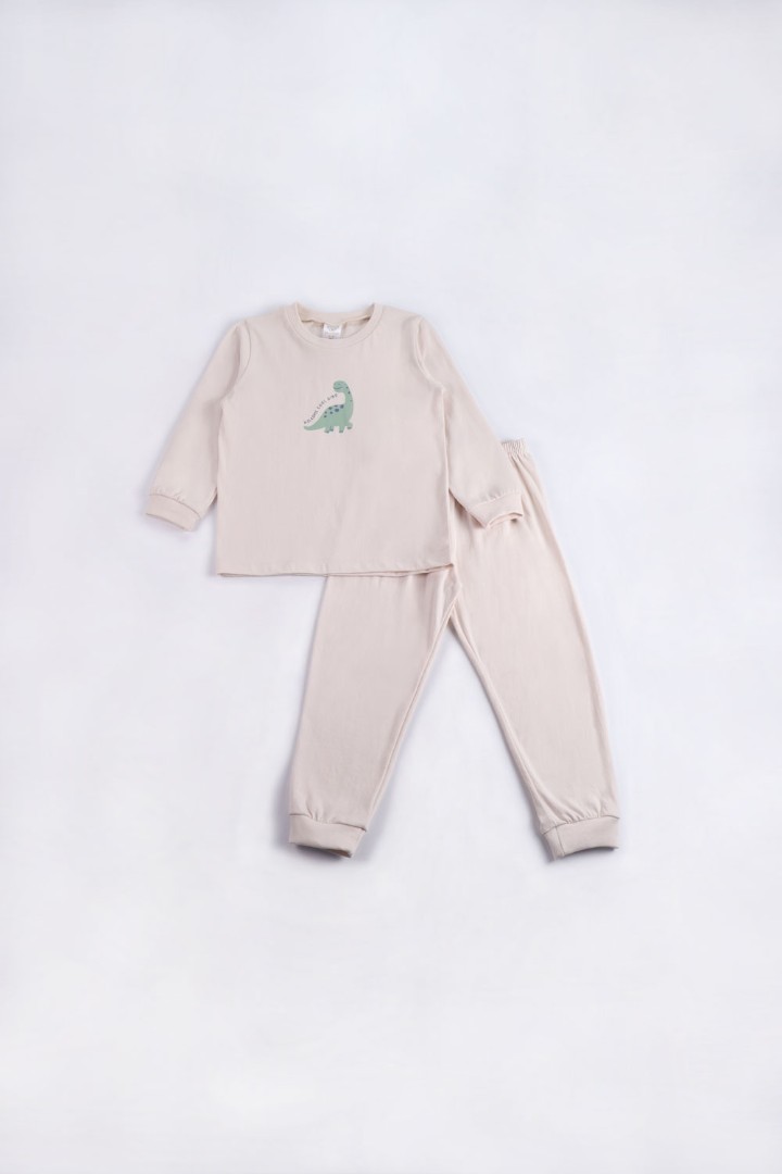 Dinosaur Series Pyjamas for Boys