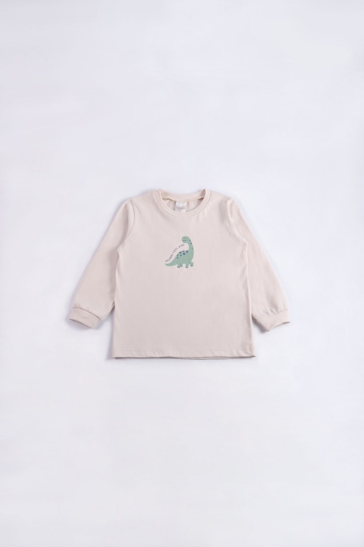 Dinosaur Series Pyjamas for Boys