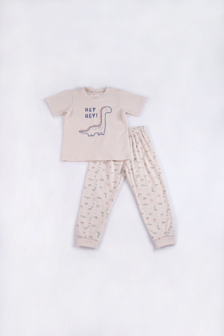 Dinosaur Series Pyjamas for Boys