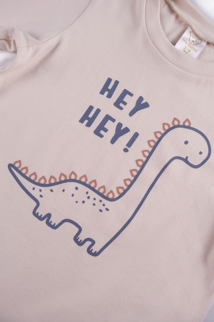 Dinosaur Series Pyjamas for Boys