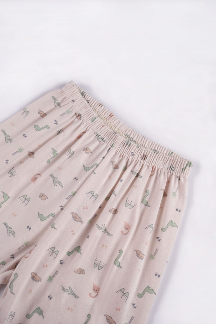 Dinosaur Series Pyjamas for Boys