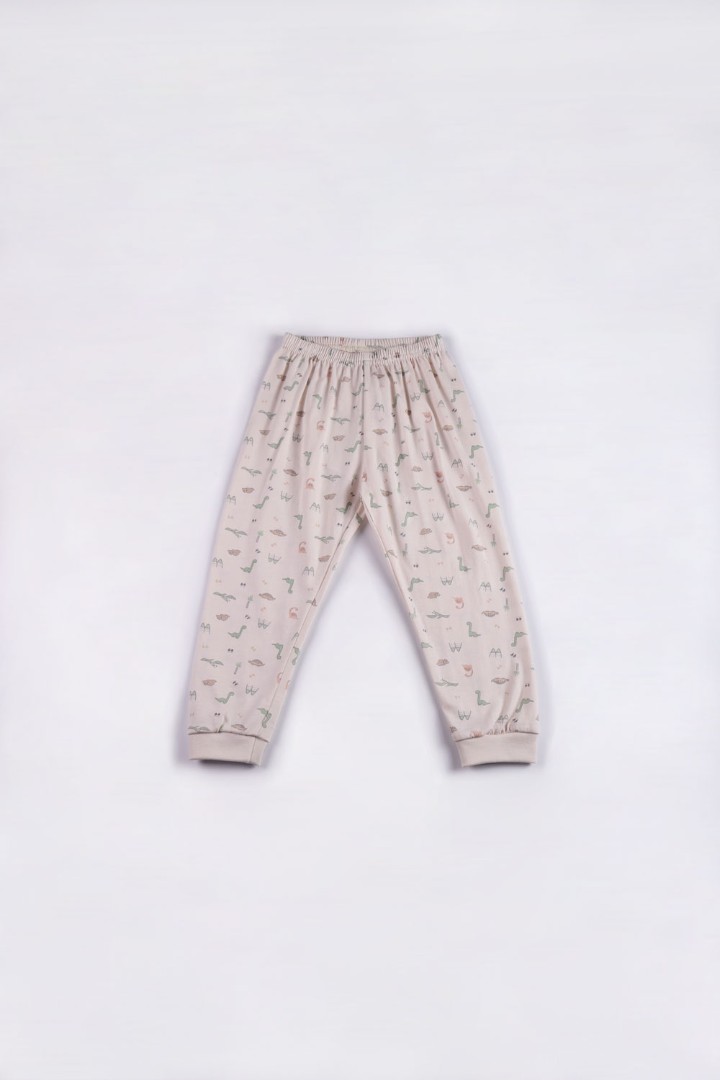 Dinosaur Series Pyjamas for Boys