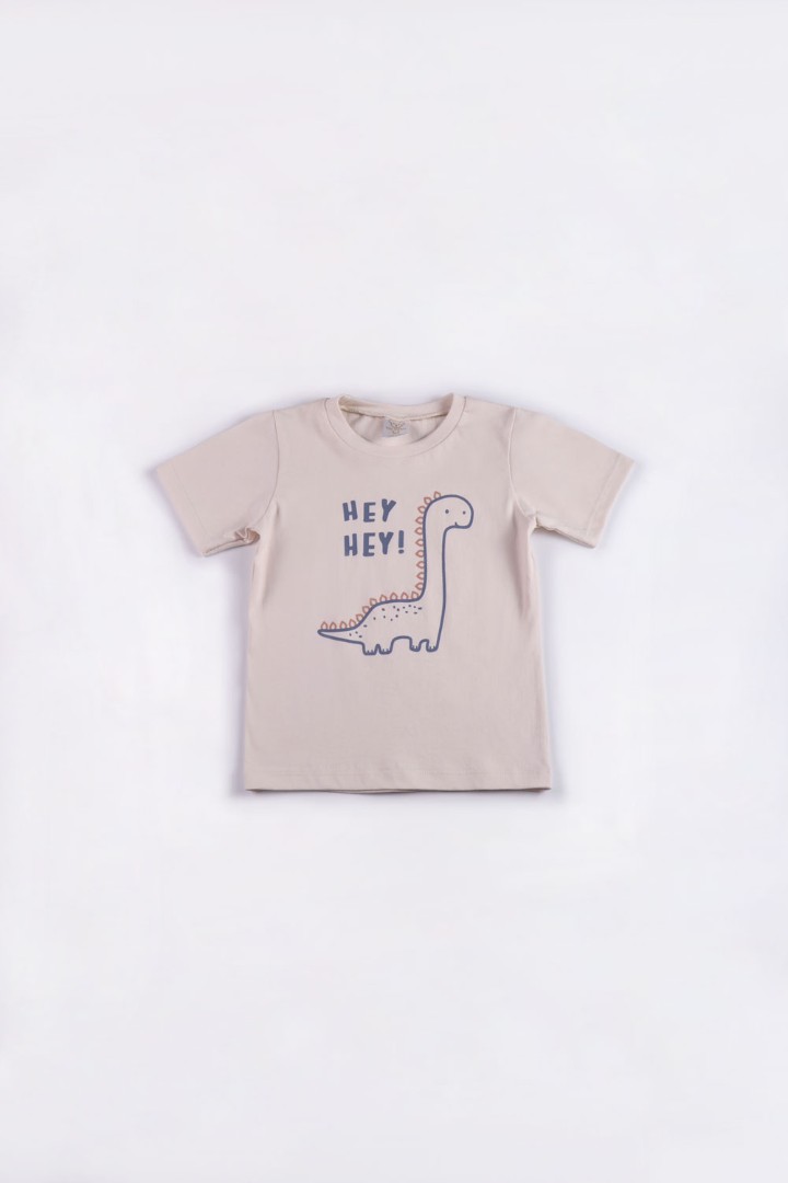Dinosaur Series Pyjamas for Boys