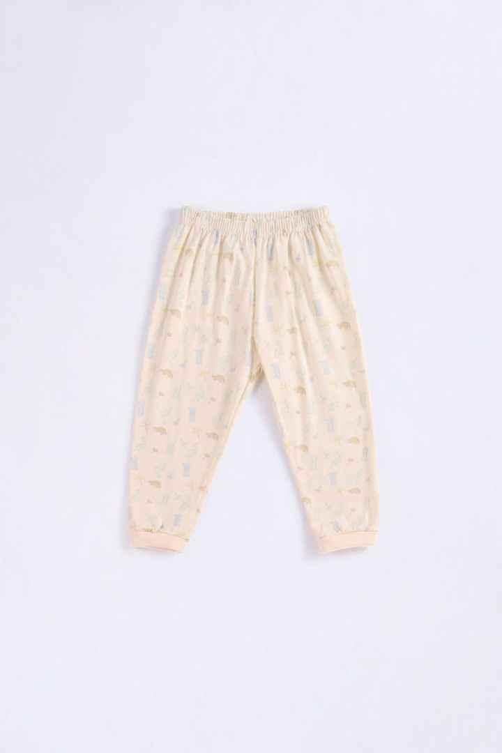 Dino Series Pyjamas for Boys