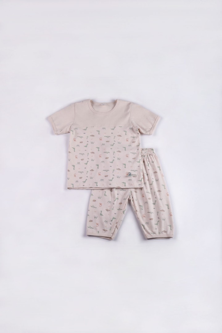 Dinosaur Series Pyjamas for Boys
