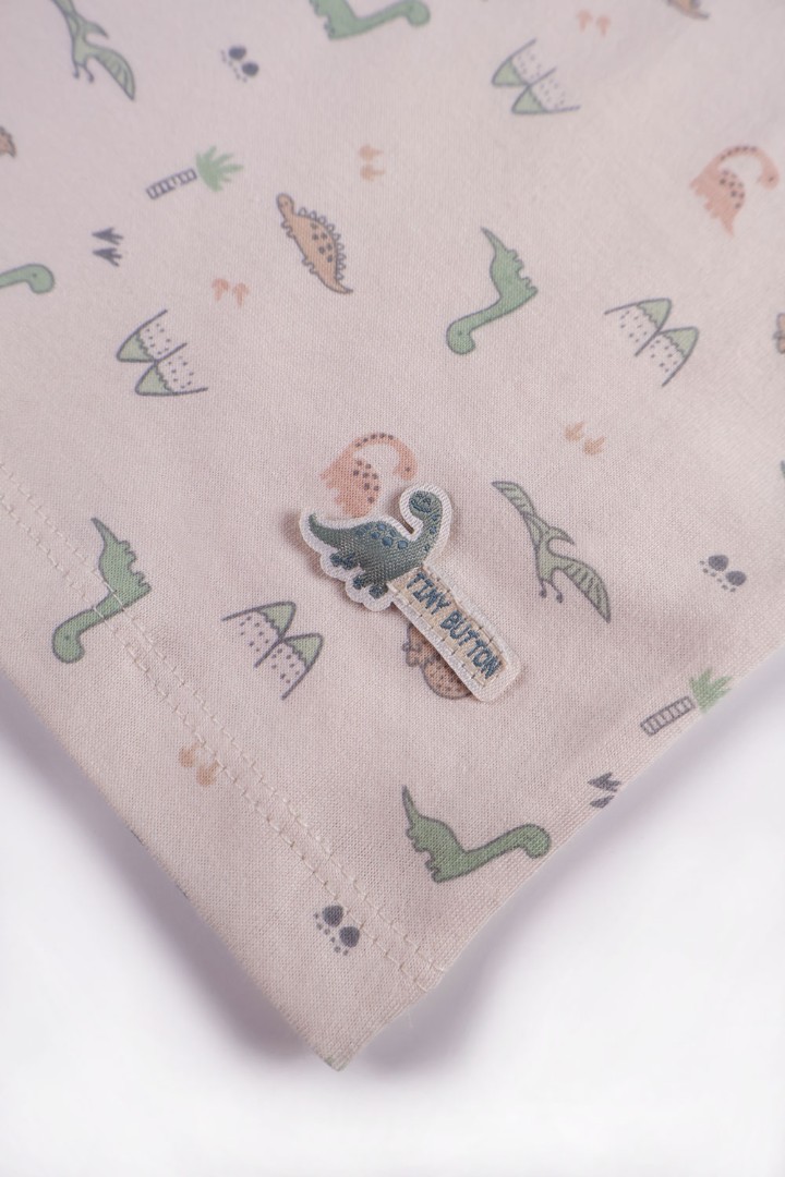 Dinosaur Series Pyjamas for Boys