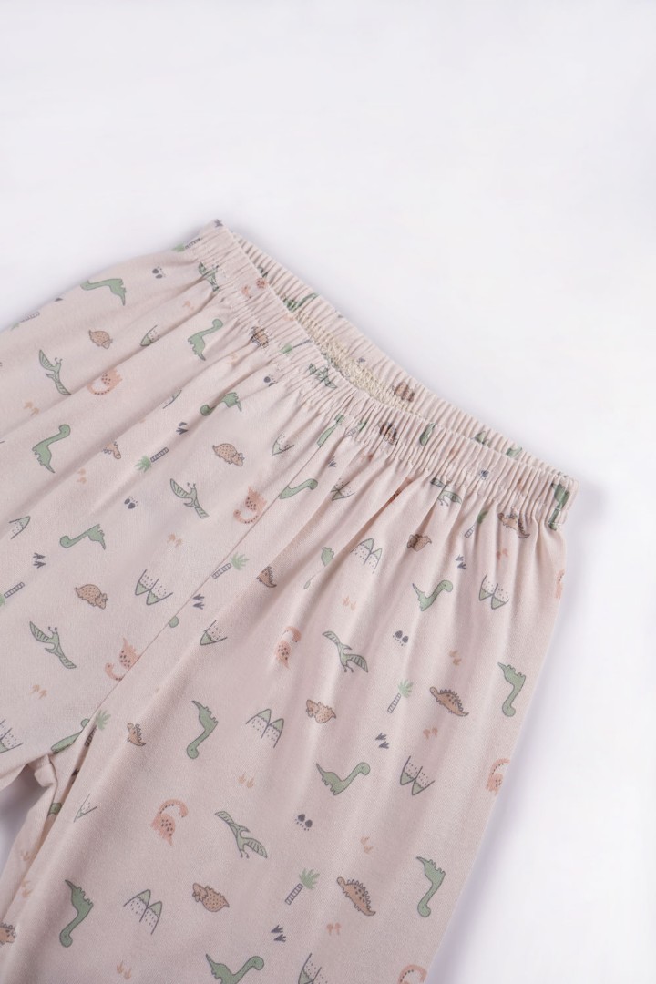 Dinosaur Series Pyjamas for Boys