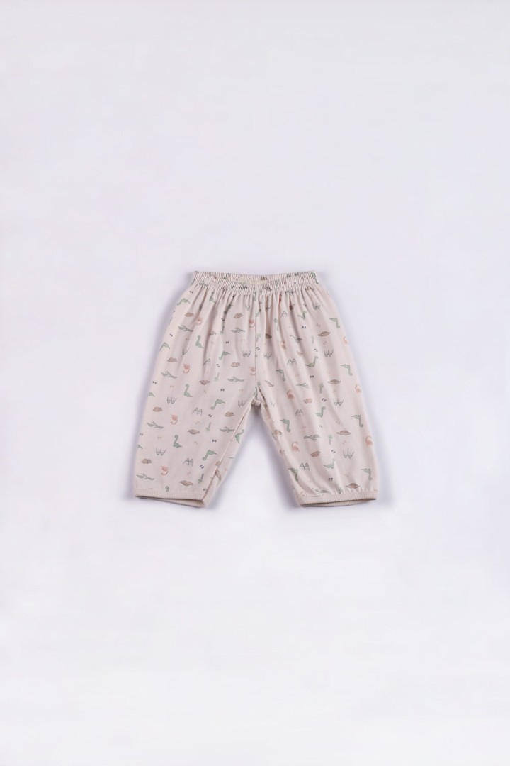 Dinosaur Series Pyjamas for Boys