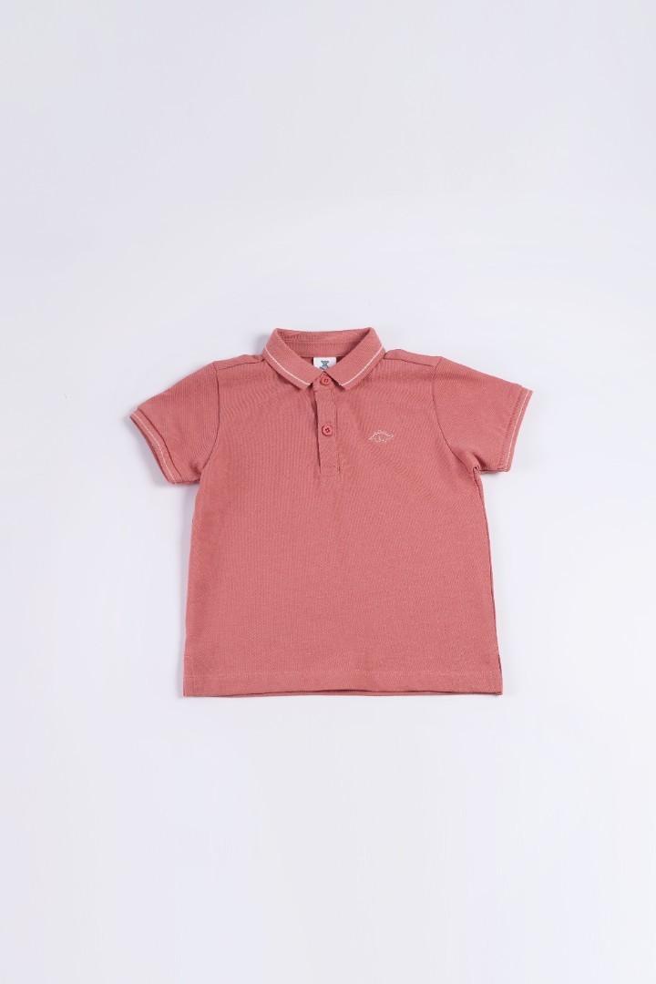 Polo Shirt with Embroidery