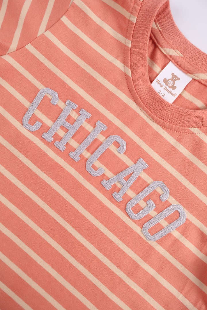 Embroidered T-Shirt