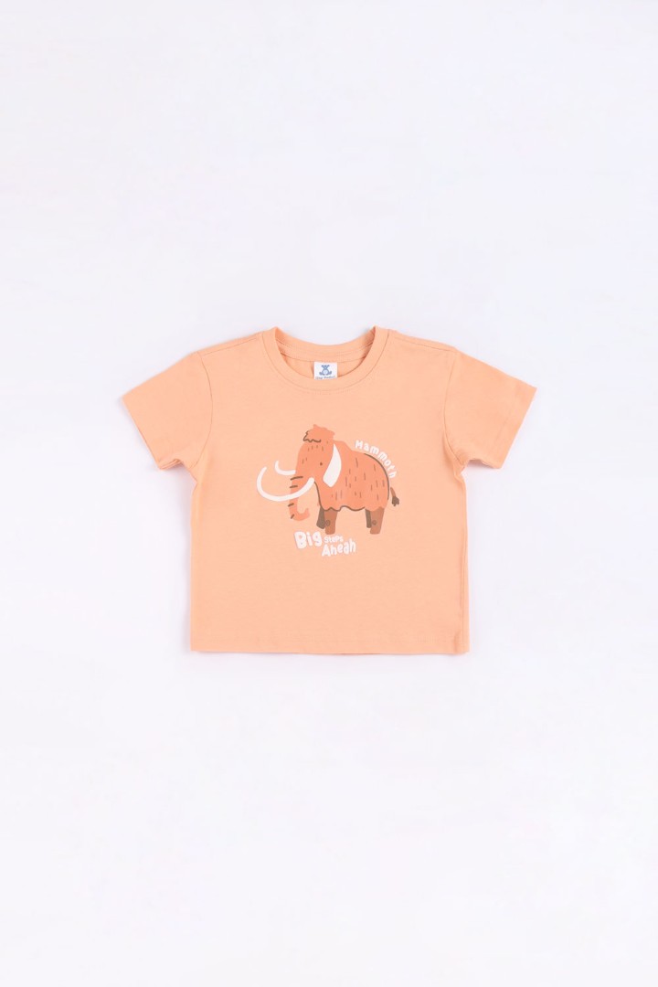Graphic T-Shirt