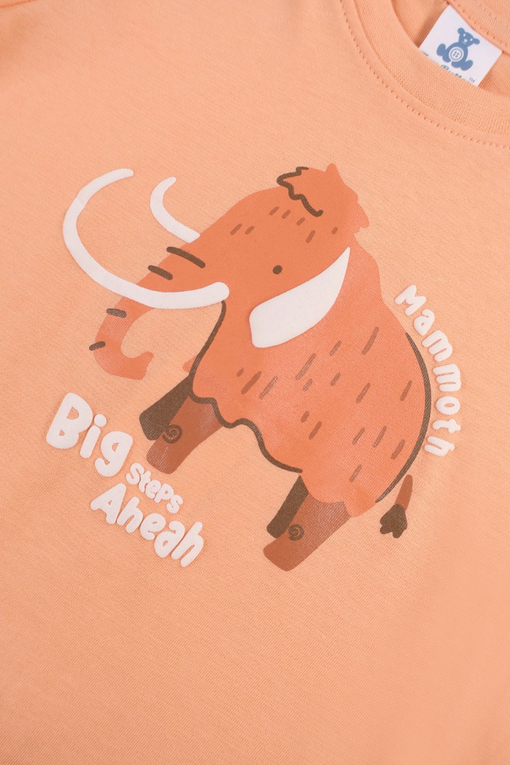 Graphic T-Shirt