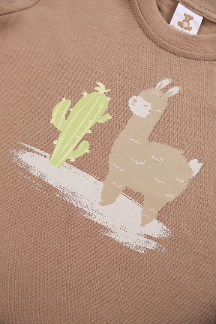 Graphic T-Shirt with Short Suit Set