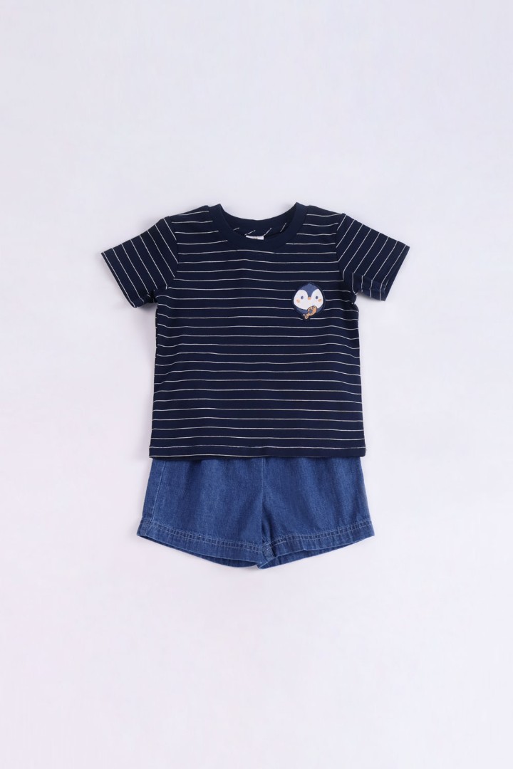 Embroidered T-Shirt with Short Suit Set