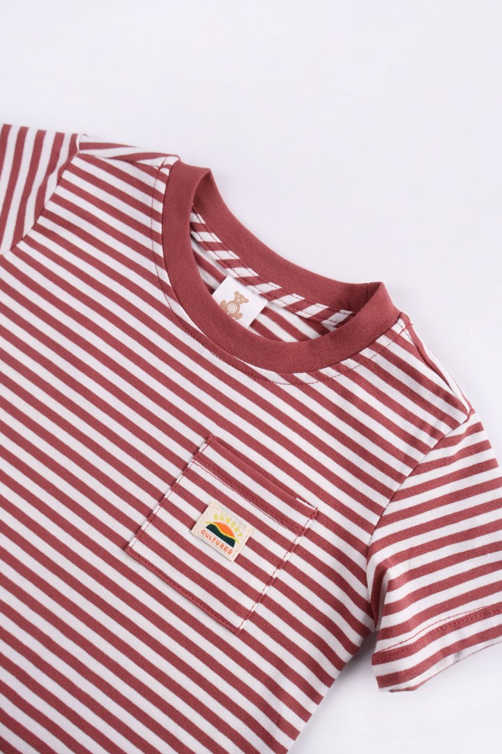 Striped T-Shirt with Short Suit Set