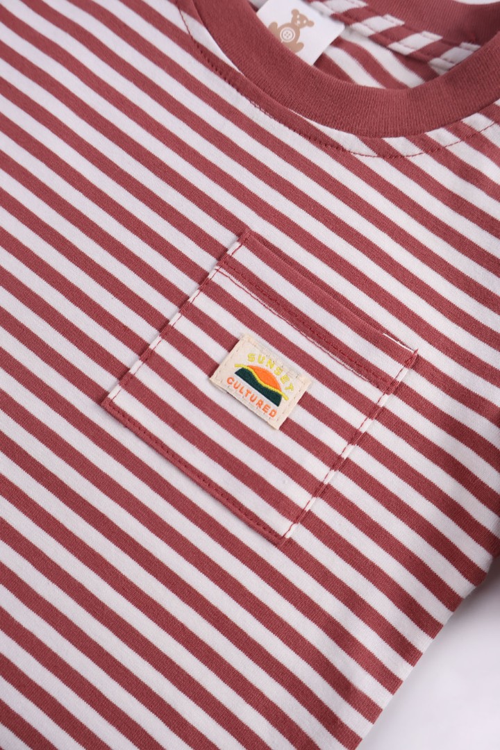 Striped T-Shirt with Short Suit Set