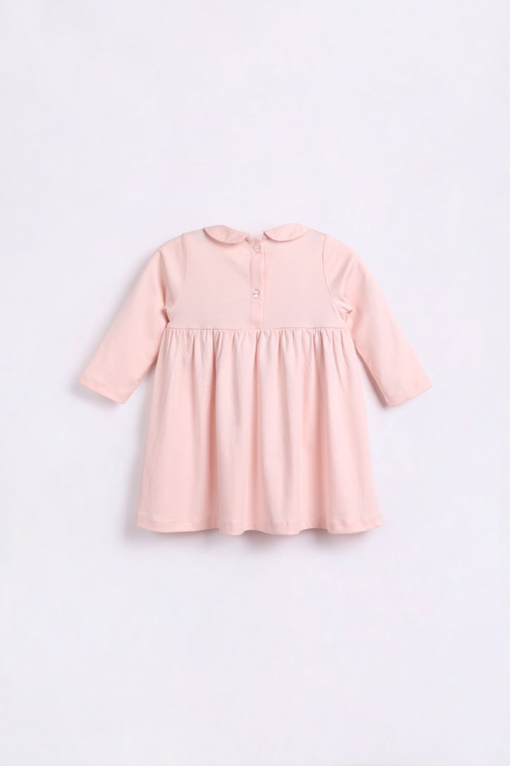 Embroidered Dress